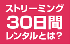 ストリーミング30日間レンタルとは？