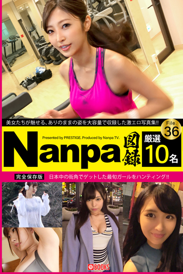 Nanpa図録 File.36